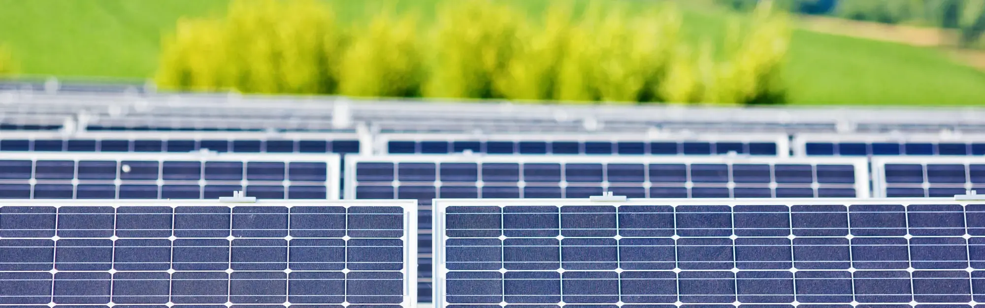 PV-Freiflaeche-gesucht